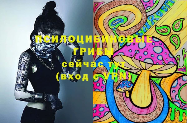 МДПВ Семёнов
